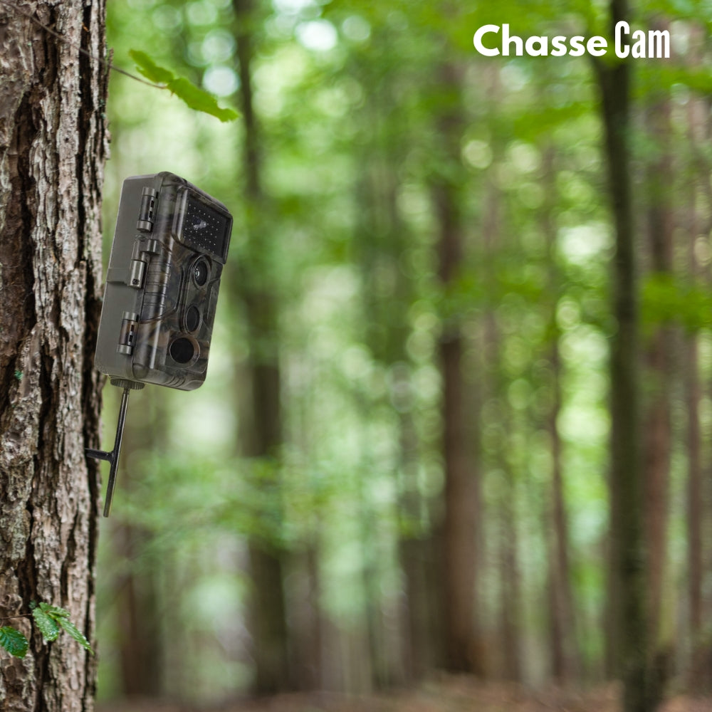 2x Supports de fixation extérieure