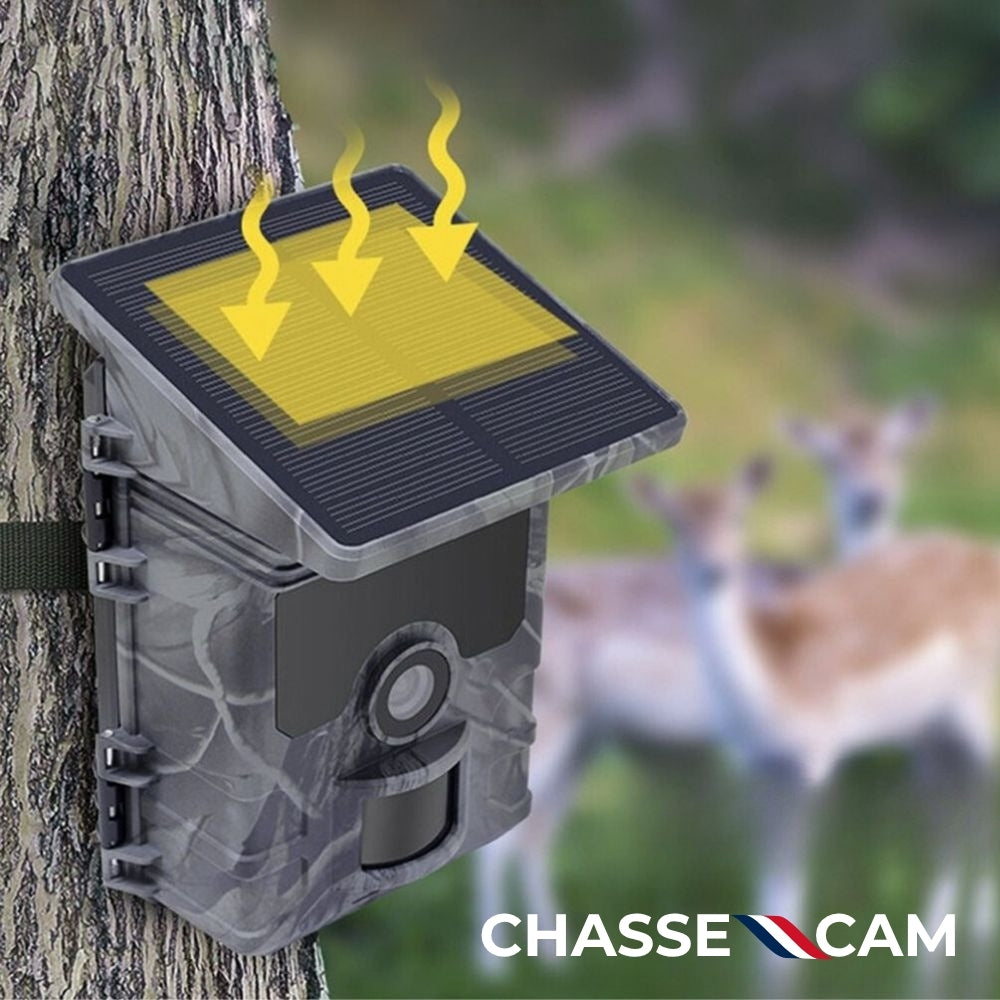 Caméra de chasse solaire avec écran