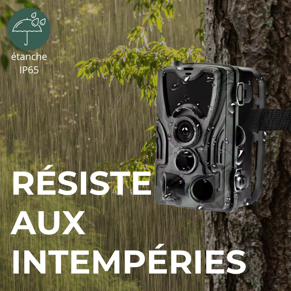 Caméra de chasse nocturne HD avec écran