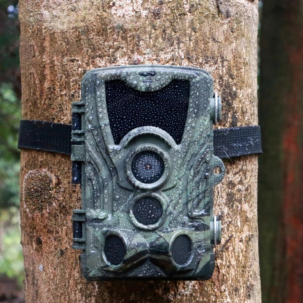 Caméra de chasse nocturne HD avec écran