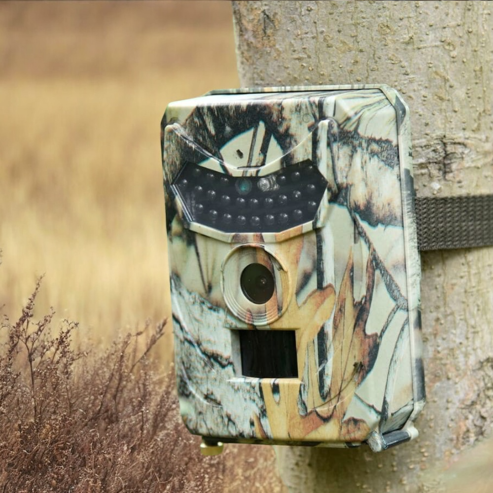 Caméra de chasse full HD avec grand angle