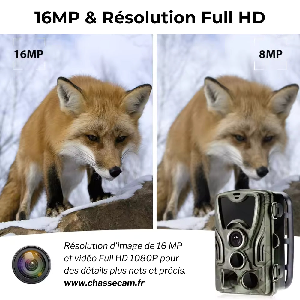 Caméra de chasse nocturne HD avec écran