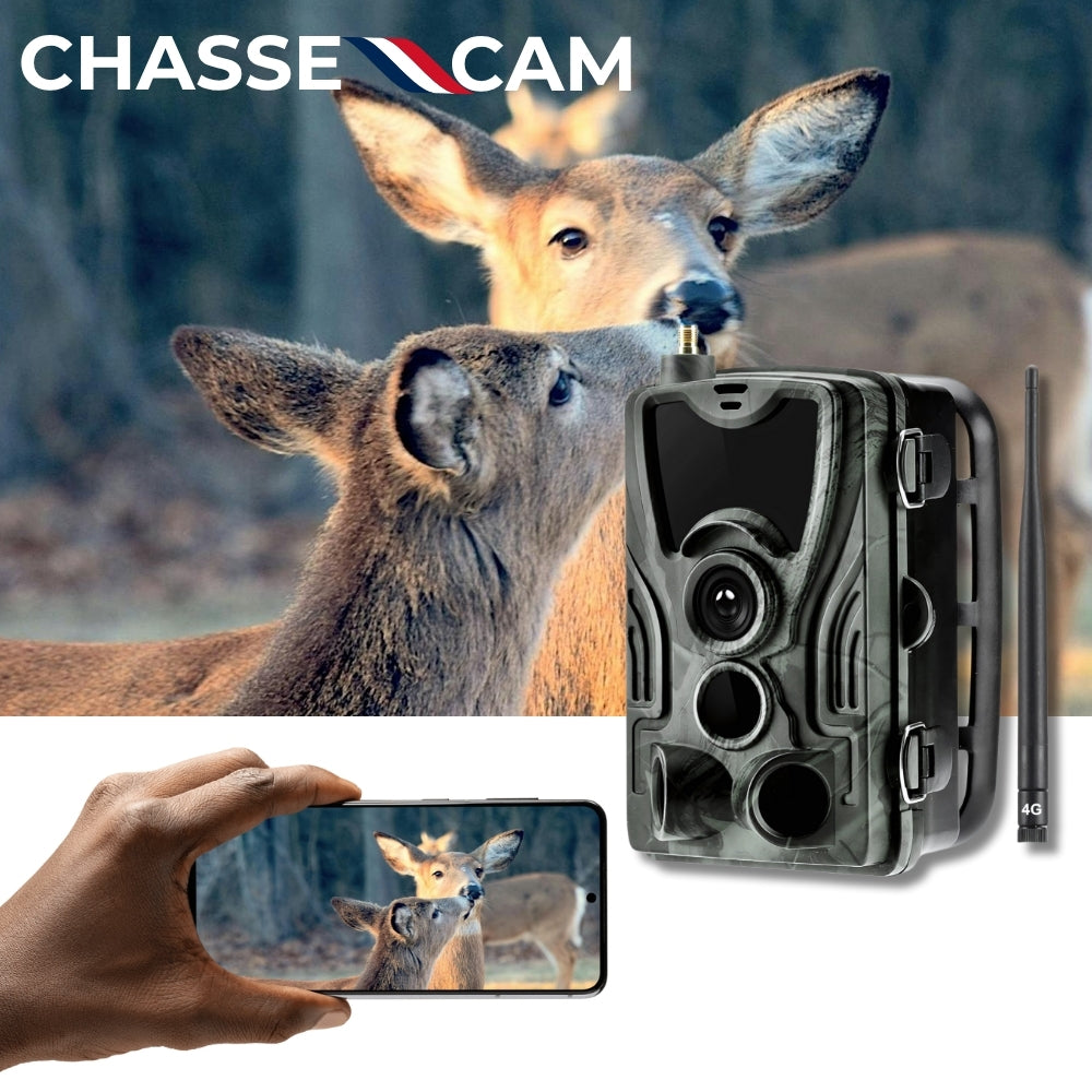 Caméra de chasse avec écran 4G+