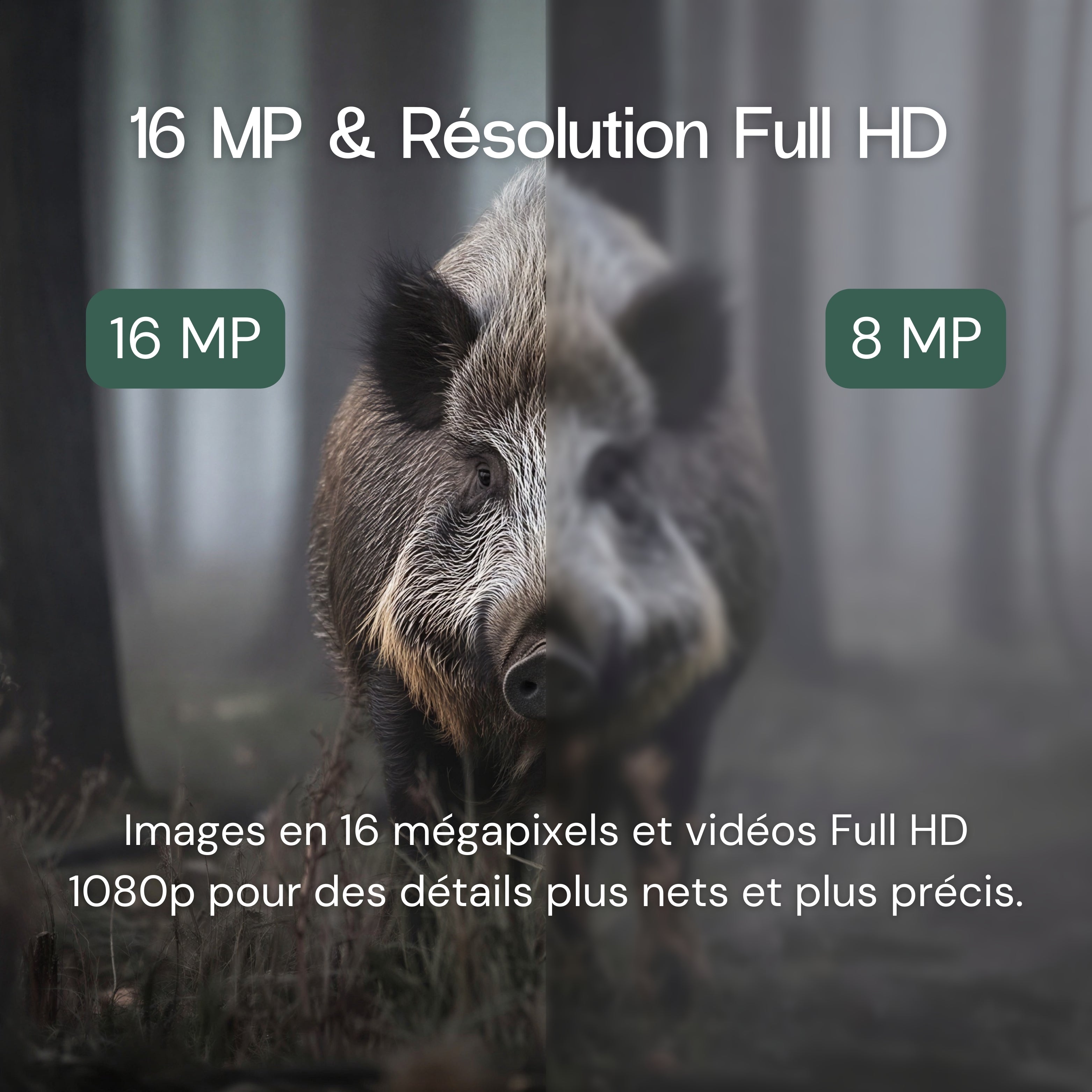 Caméra de chasse full HD avec écran