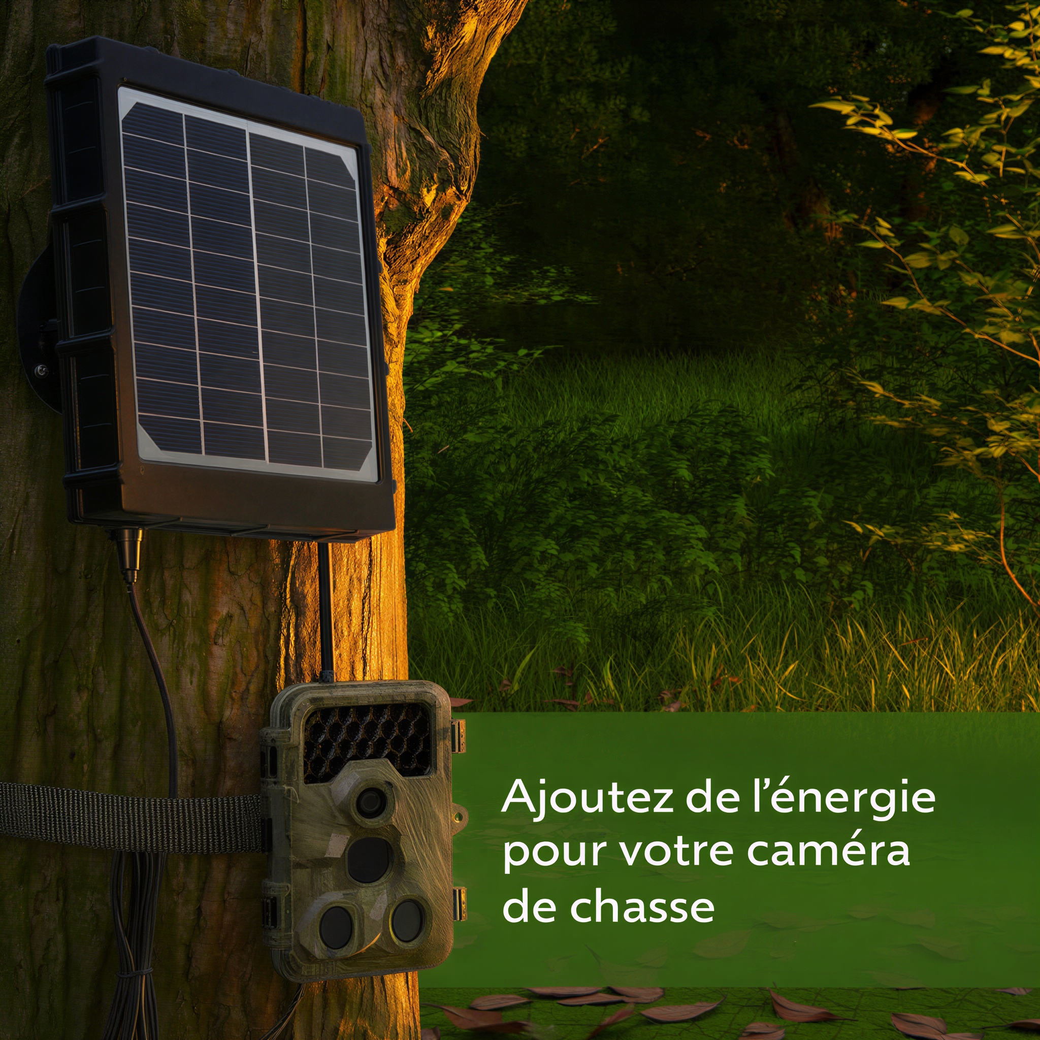 Panneau solaire pour caméra de chasse