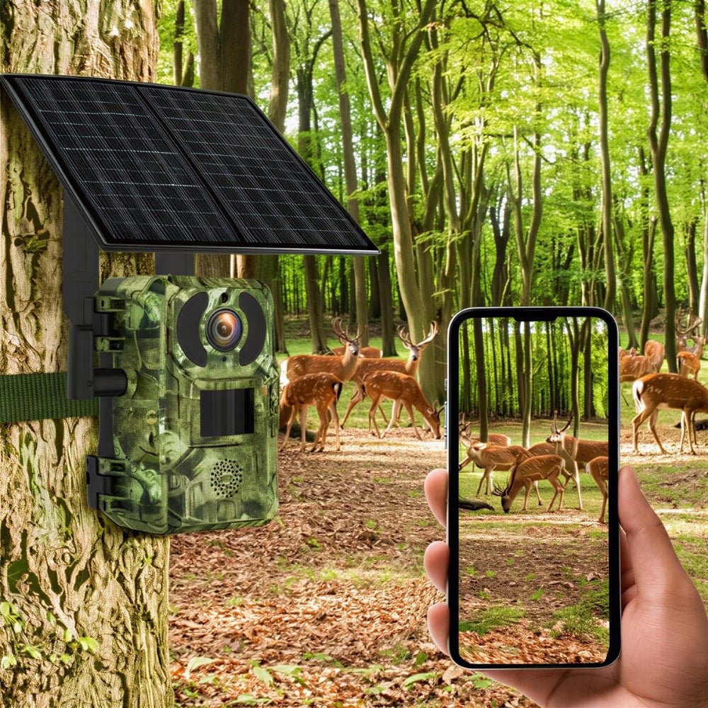 Caméra de chasse 4G solaire