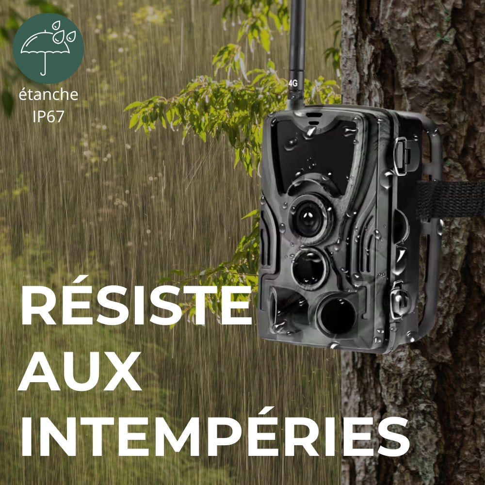 Caméra de chasse avec écran 4G+