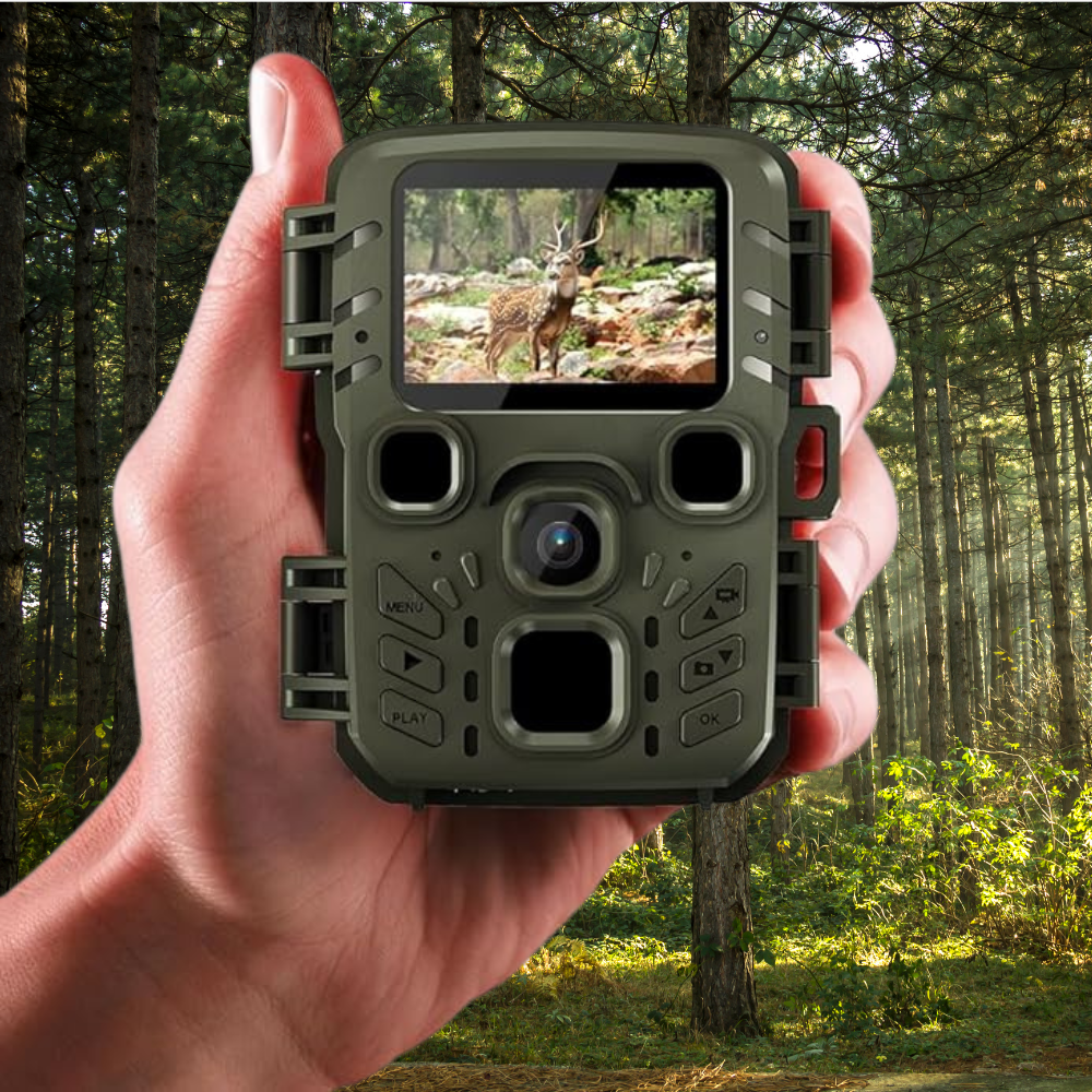 Écran lcd haute définition intégré