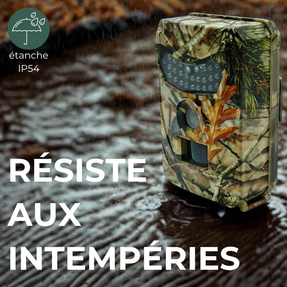 Caméra de chasse full HD avec grand angle