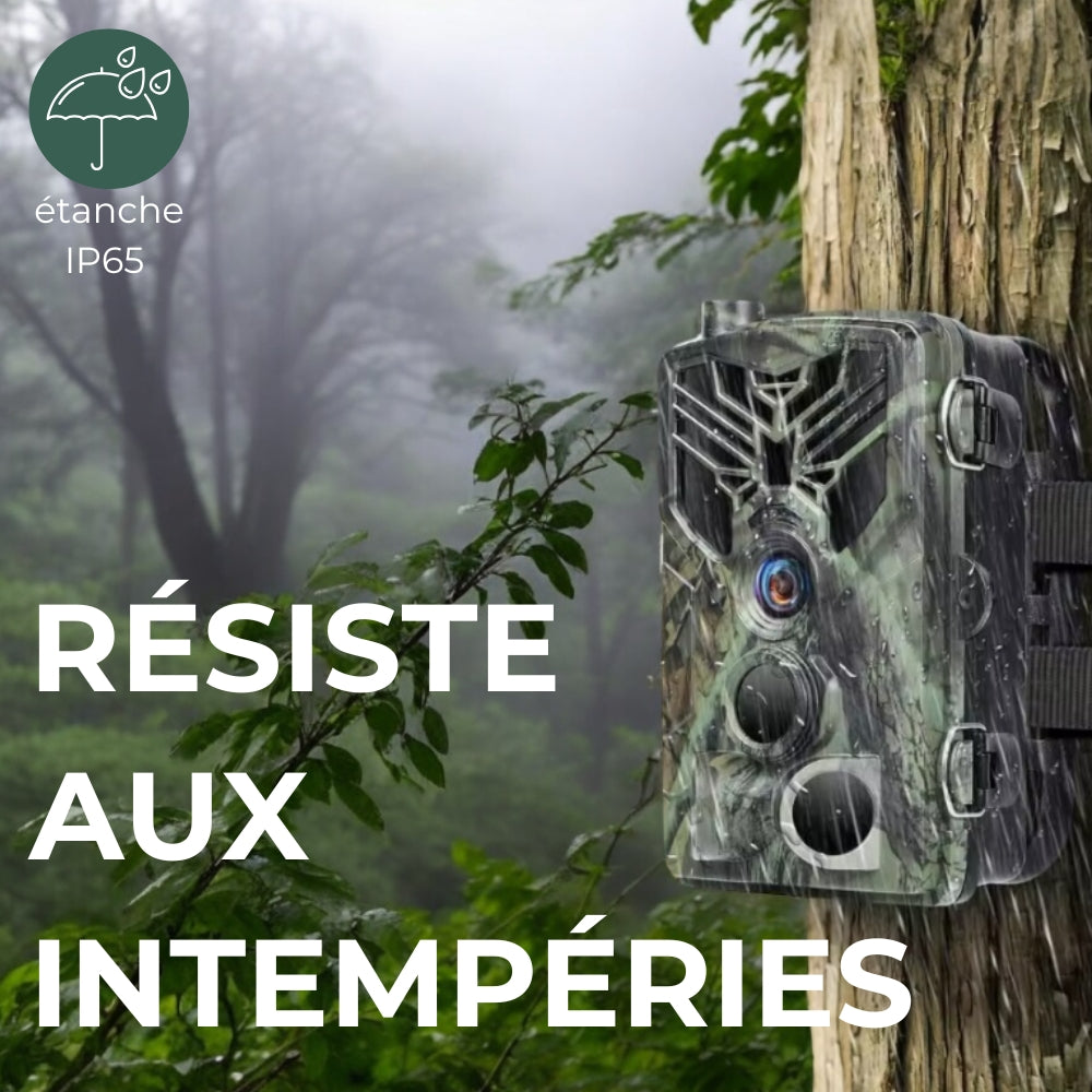 Caméra de chasse connectée avec alerte