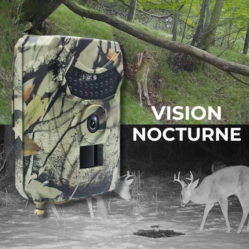 Caméra de chasse full HD avec grand angle