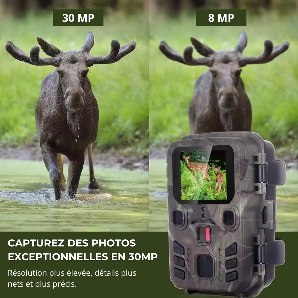 Caméra de chasse connectée avec alerte
