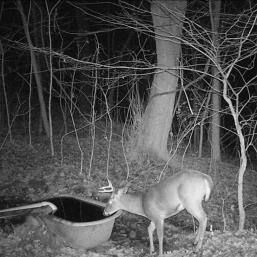 Vision nocturne haute définition